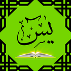 Surah Yasin icône