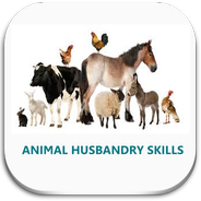 Animal Husbandry Skills APK for Android Download Animal Husbandry Skills APK for Android Download