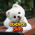 Buenos días. Lindas frases