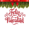 Feliz Navidad y Año Nuevo