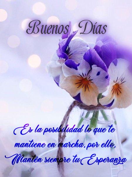 Android İndirme için Saludos y Reflexiones. Buenos Días APK Android İndirme için Saludos y Reflexiones. Buenos Días APK