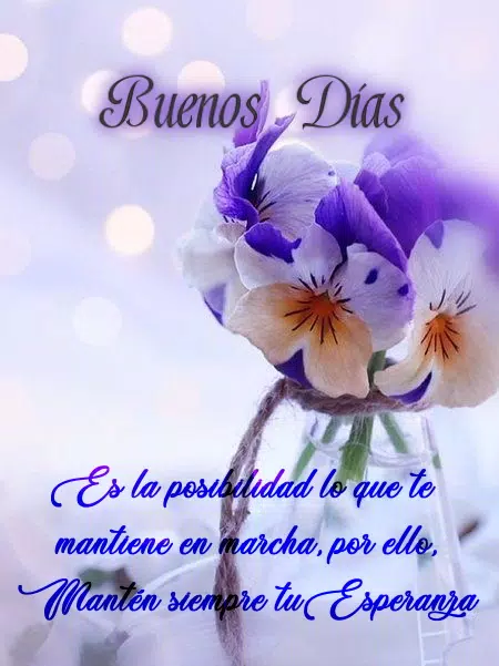 Saludos y Reflexiones. Buenos Días APK for Android Download Saludos y Reflexiones. Buenos Días APK for Android Download