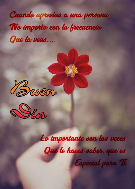 Android İndirme için Saludos y Reflexiones. Buenos Días APK Android İndirme için Saludos y Reflexiones. Buenos Días APK