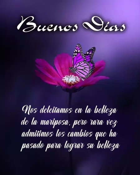 Saludos y Reflexiones. Buenos Días APK للاندرويد تنزيل Saludos y Reflexiones. Buenos Días APK للاندرويد تنزيل