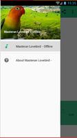 Masteran Lovebird Offline الملصق