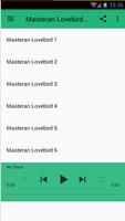 Masteran Lovebird Offline ảnh chụp màn hình 2