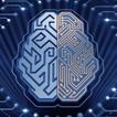 Learn Algorithm