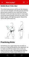 Learn Karate Poster