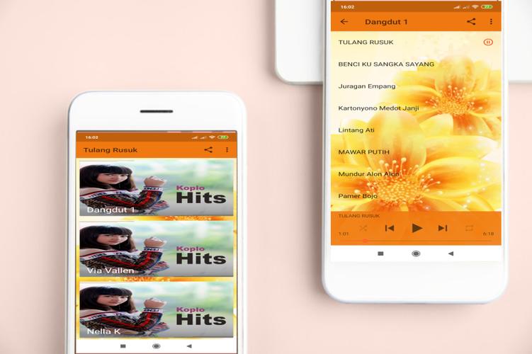 Lagu Dangdut Tulang Rusuk Terbaru For Android Apk Download