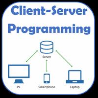 Client-Server Programming capture d'écran 1