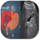 Ultrasound of the Gallbladder APK