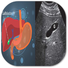 Ultrasound of the Gallbladder ไอคอน