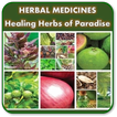 ”Harbal Medicine | Healing Herbs of Paradise