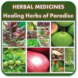 Harbal Medicine | Healing Herbs of Paradise icône