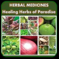 Harbal Medicine | Healing Herbs of Paradise Affiche