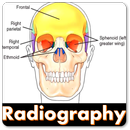 Skull Radiographic Anatomy and Projections APK