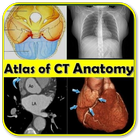 CT Scan Anatomy ATLAS icône