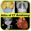 ”CT Scan Anatomy ATLAS - All in 1