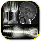 Musculoskeletal X-Rays - All in 1 أيقونة