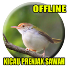 Suara Prenjak Sawah Gacor icône