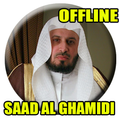 Full Quran Mp3 Saad Al Ghamidi Offline