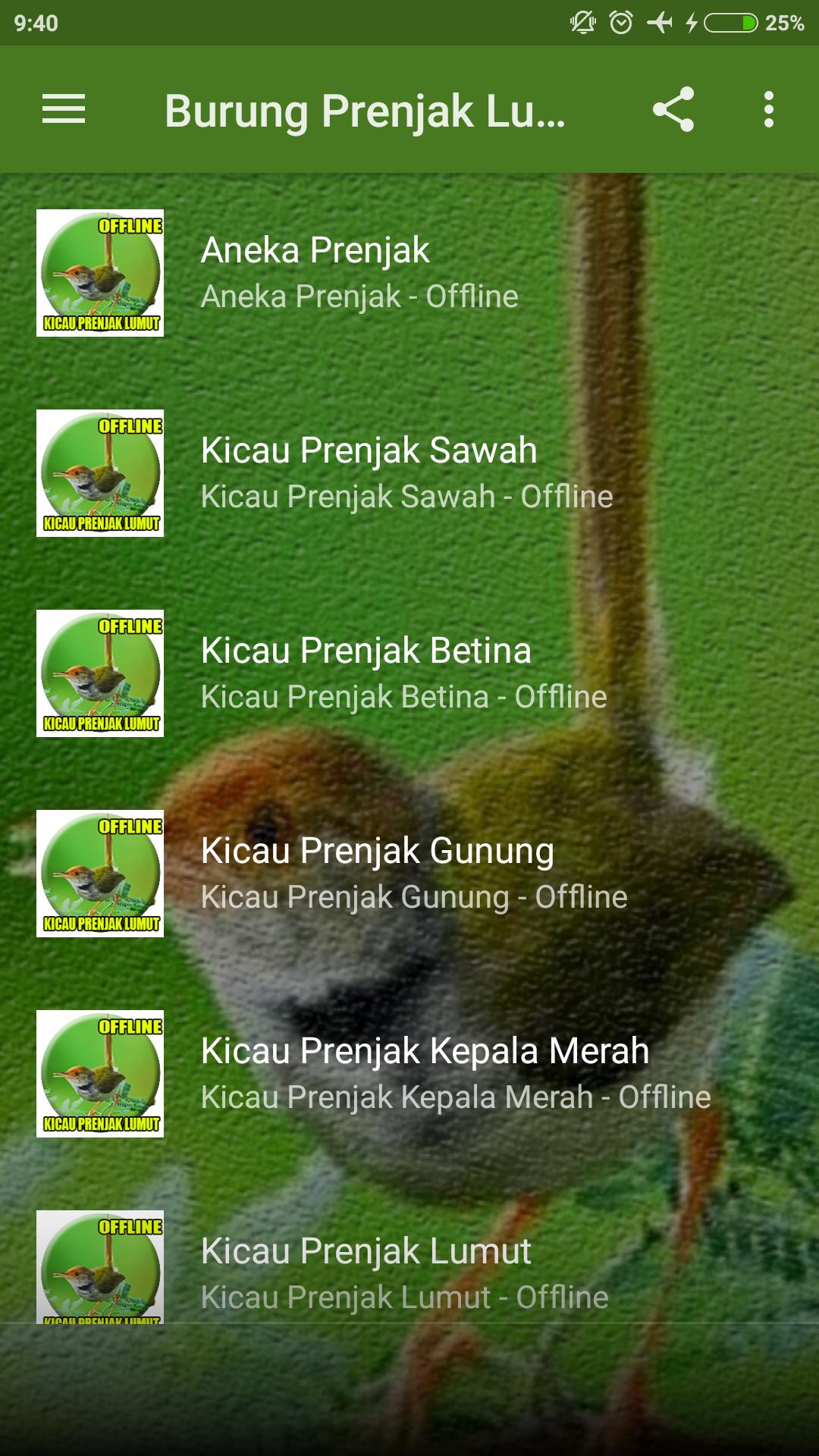 Suara Burung Prenjak Lumut Gacor For Android Apk Download
