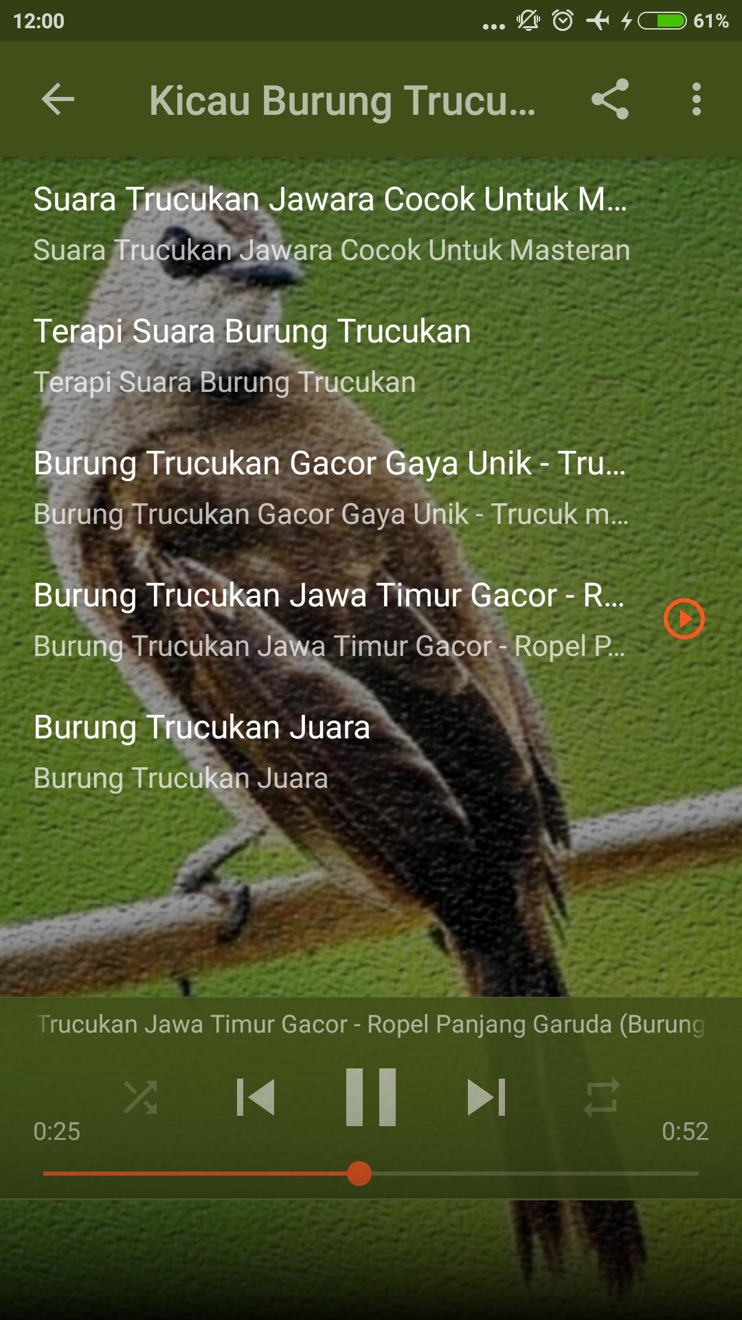 Kicau Burung Trucukan Masteran For Android Apk Download