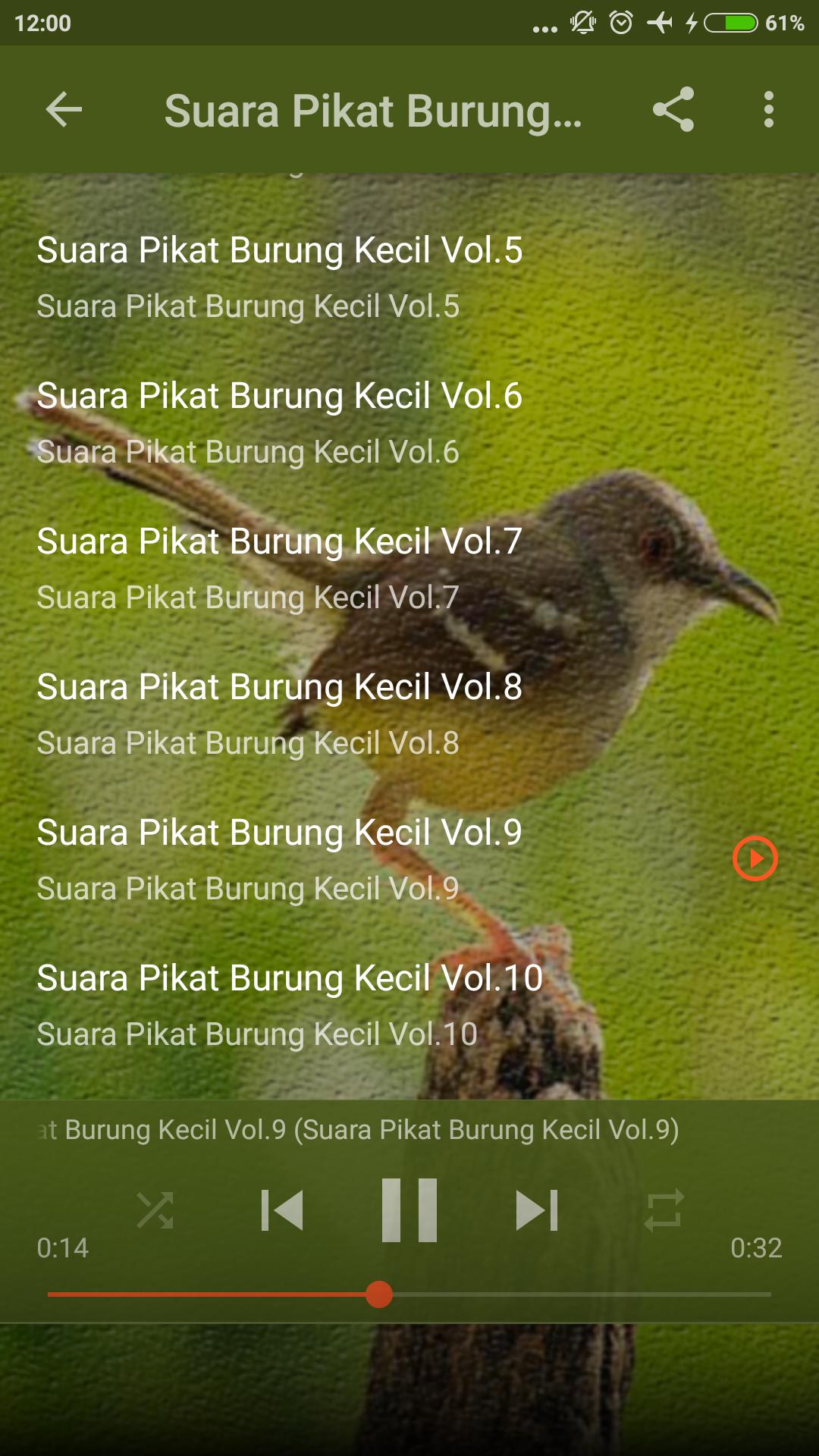 Suara Pikat Burung Kecil Ampuh para Android - APK Baixar
