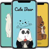 Cute Bear Cartoon Wallpaper icône