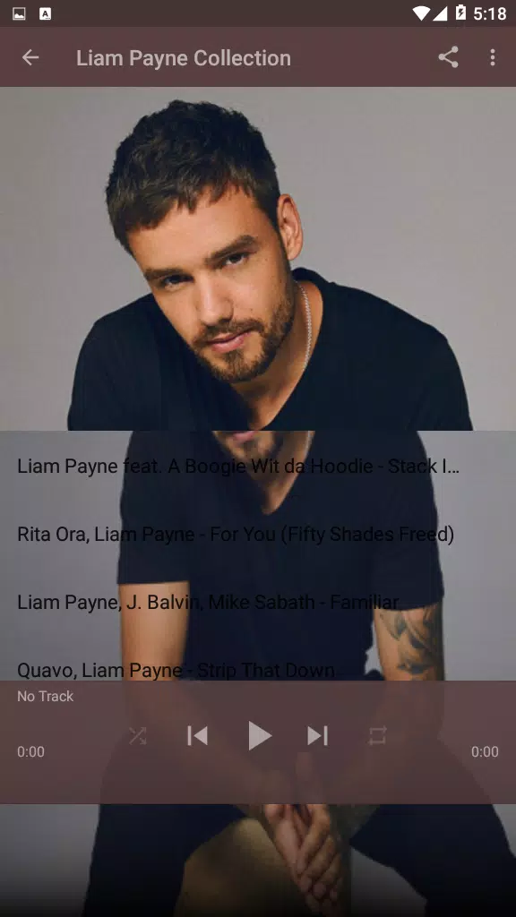 Liam - Payne** (Collection MP3) APK for Android Download