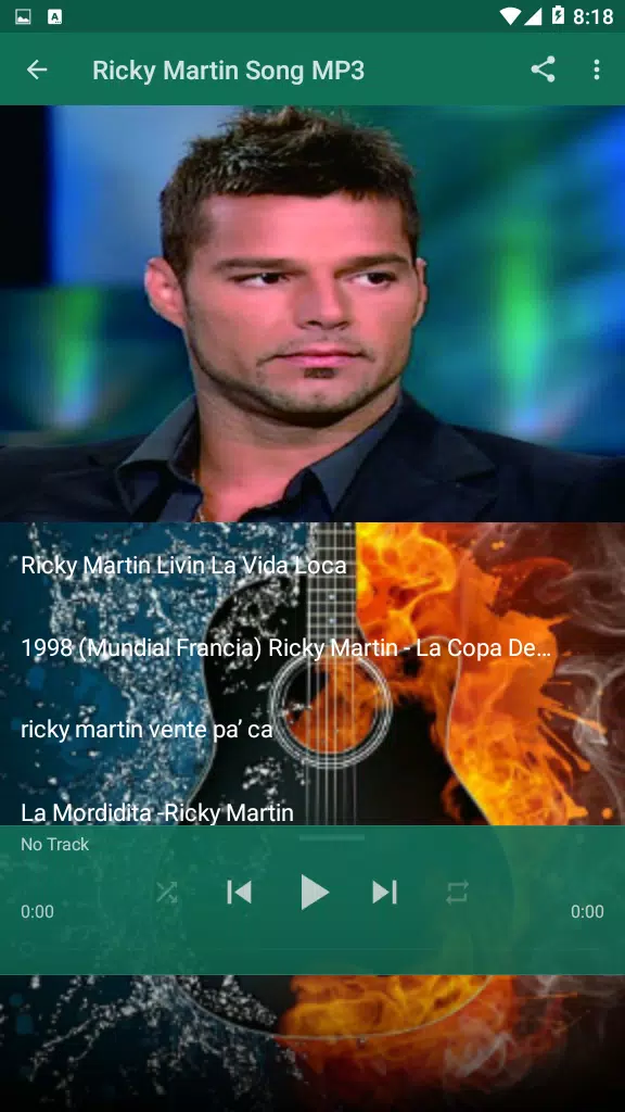 Ricky Martin MP3 Play List APK for Android Download