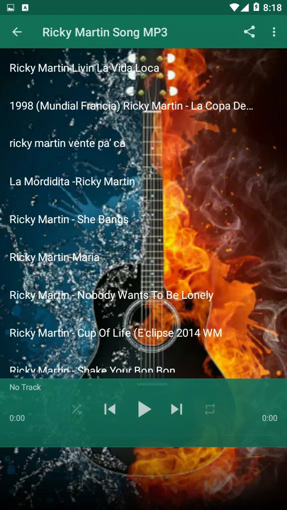 Ricky Martin MP3 Play List APK for Android Download
