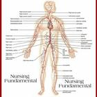 Fundamental Of Nursing आइकन