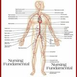 Fundamental Of Nursing