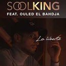 Soolking Feat. Ouled El Bahdja - Liberté APK