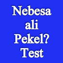 Nebesa ali Pekel? Test APK