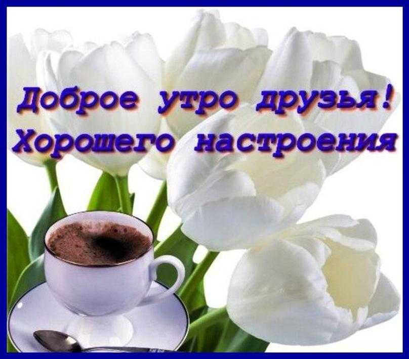 Утро друзья картинки. Доброе утро друзья. Открытки с добрым утром друзья. Всем доброе утро друзья. Доброе утречко друзья.