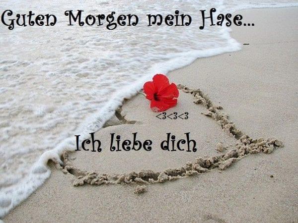 Guten morgen mein lieber schatz
