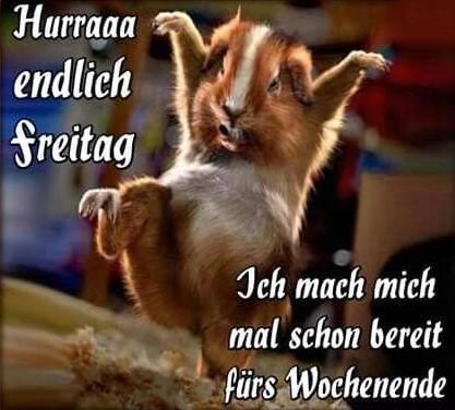 Yuhuuuuuu Endlich Wochenende Happy Homer Make A Meme
