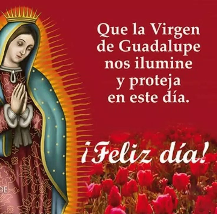 Feliz dia de la Virgen de Guadalupe Imagenes APK for Android Download virgen de guadalupe Feliz dia de la Virgen de Guadalupe Imagenes APK for Android Download