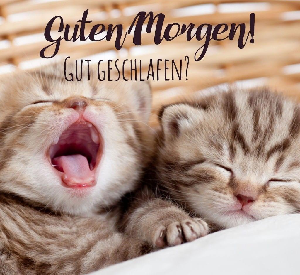 Guten morgen lustig guten morgen