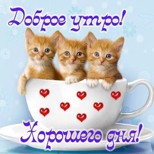 Descarga de APK de  ! para Android