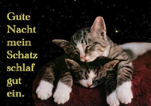 Gute Nacht Mein Schatz For Android Apk Download
