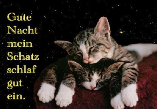 Brief an schatz mein gute nacht Liebesbrief: So