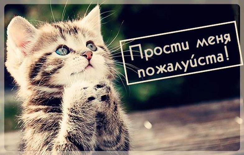 салтан я исправлюсь обещаю картинки этом разделе подобраны