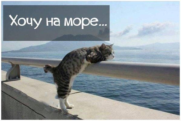 Открытки не хочу на работу хочу на море