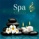 Spa Music MP3 - Relax for Soul APK