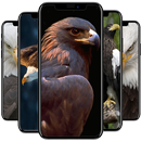 Eagle  Wallpaper APK
