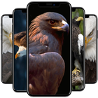 Eagle  Wallpaper icon
