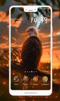 Eagle  Wallpaper screenshot 1